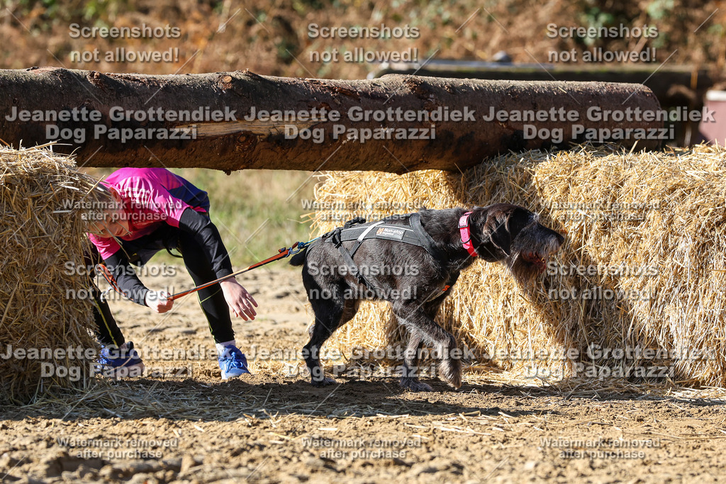 Dog Paparazzi - Strongdog 10-25-2910 | Dog Paparazzi Jeanette Grottendiek Fotografie & Videografie - Realisiert mit Pictrs.com