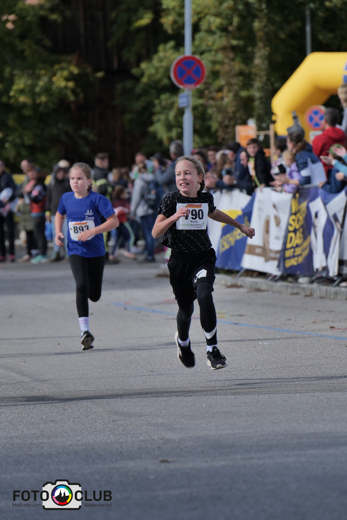 D (448) | Foto Buchgraber