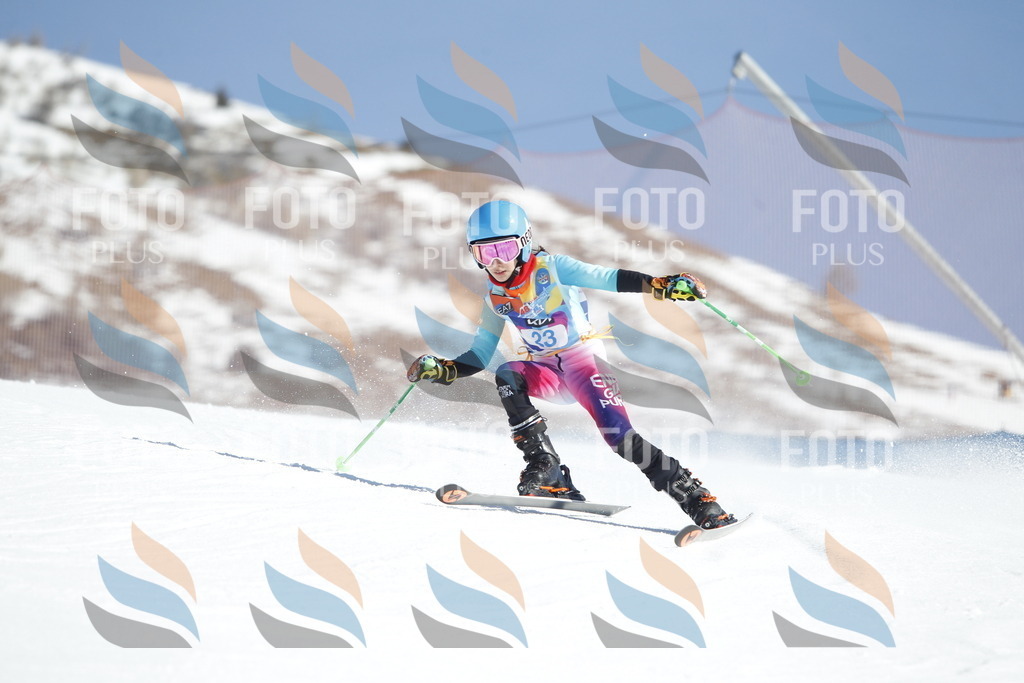 _U3G8907 | holidayphoto