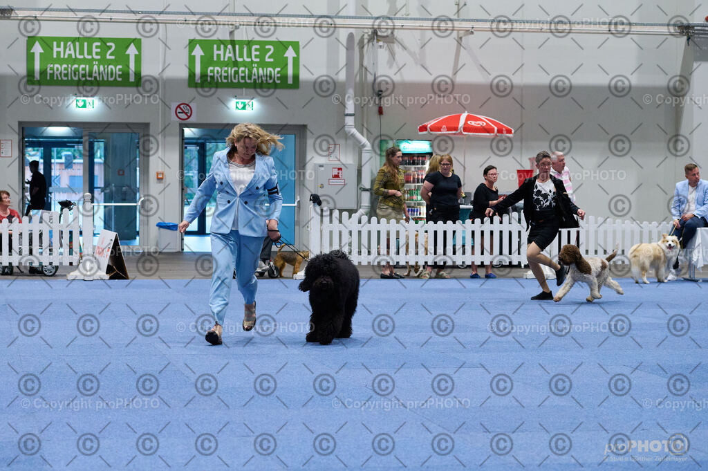 202406_ÖKV-IHA-Tulln24_DSC_3302 | proPHOTO - Realisiert mit Pictrs.com