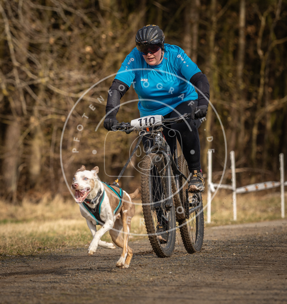 DV3A4287 | Hundefotografie, Tierfotograf, Pfotenfotografie, Fotoshooting Hund, Hunde Portrait, Hundesport, Hundeportraits, Heideshooting, Hunde, Sportfotograf, Hundefotograf, Turnierhundsport, THS,  - Realisiert mit Pictrs.com