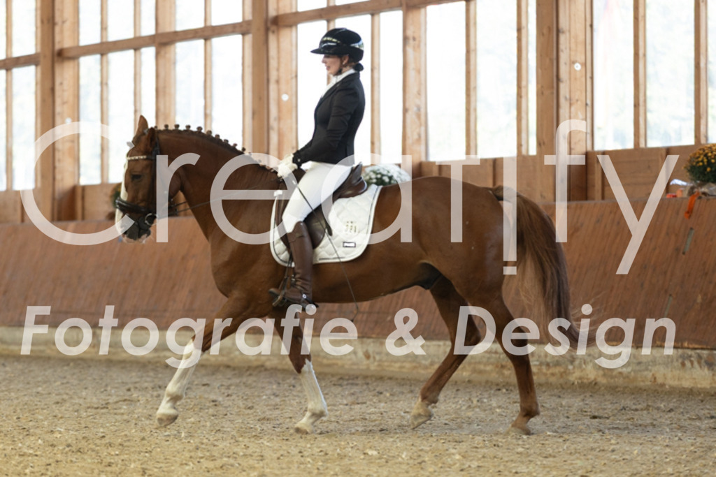 IMG_4873 | Creatify Fotografie