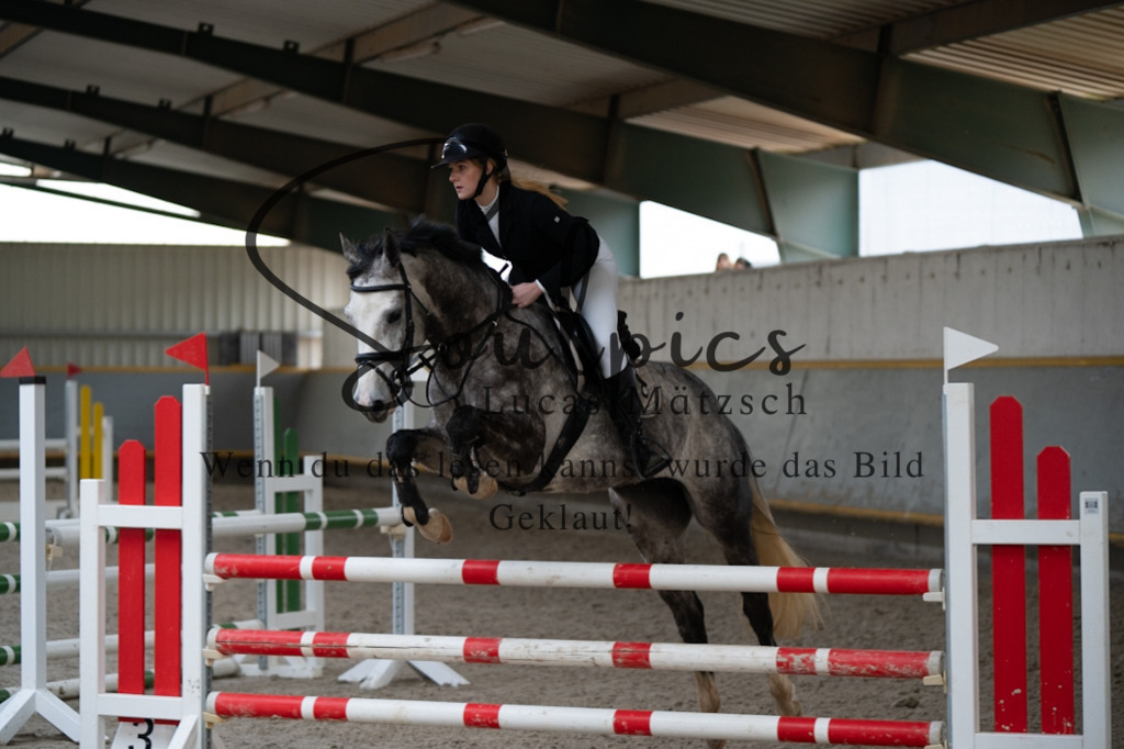 A7V03841 | Pferdefotograf