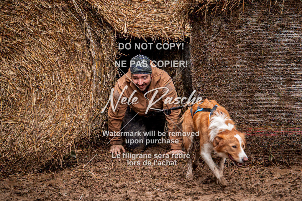 nelerasche_Hunsrück_So09-11_181 | nelerasche