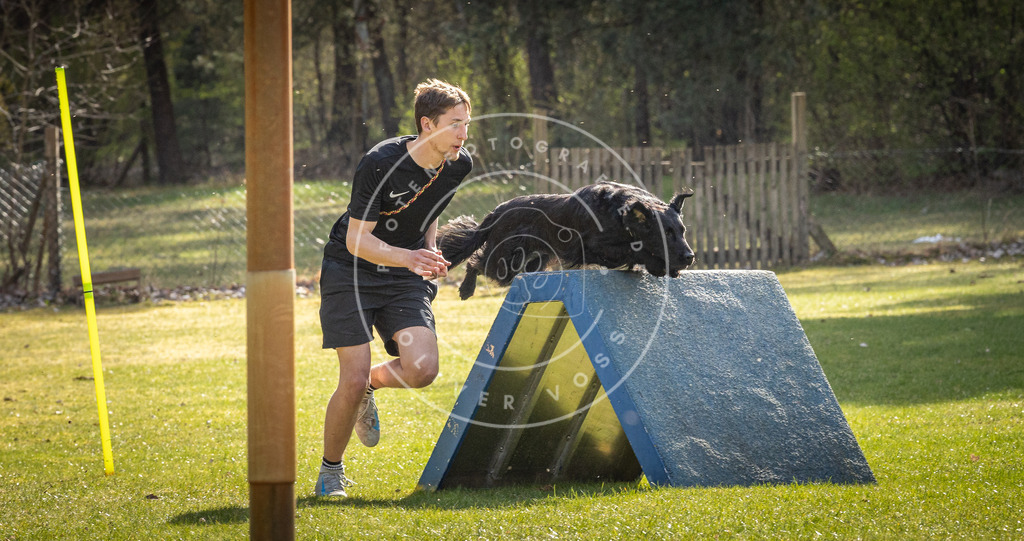 Pfotenfotografie_DV3A3089 | Hundefotografie, Tierfotograf, Pfotenfotografie, Fotoshooting Hund, Hunde Portrait, Hundesport, Hundeportraits, Heideshooting, Hunde, Sportfotograf, Hundefotograf, Turnierhundsport, THS,  - Realisiert mit Pictrs.com
