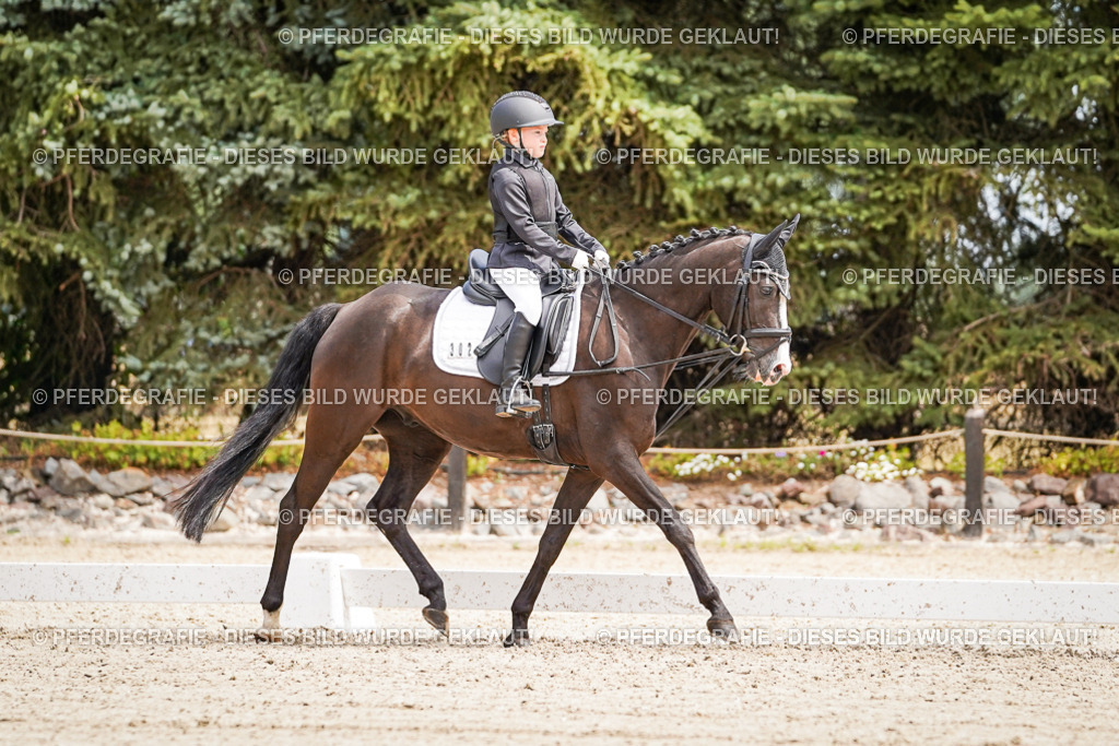 DSC02729 | Pferdegrafie