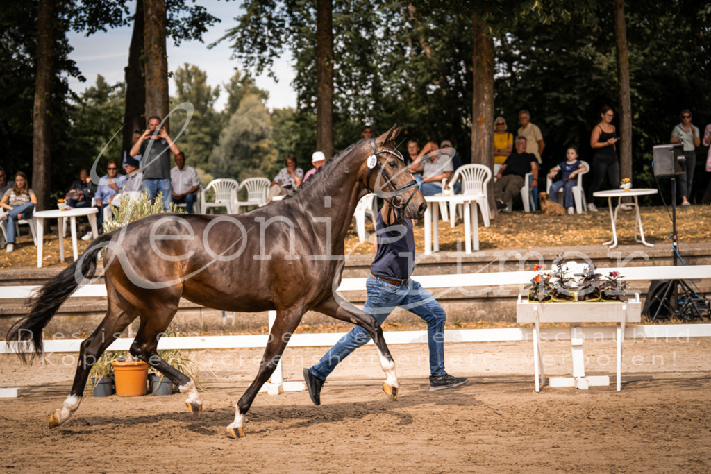 6.Fr00082 | Leoni Ertmer Photography - Realisiert mit Pictrs.com