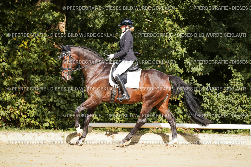 DSC07708 | Pferdegrafie