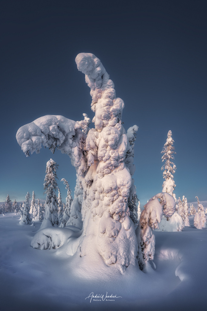 Der Eisdrache | Andre Wandrei - Nature Artworx - Realisiert mit Pictrs.com