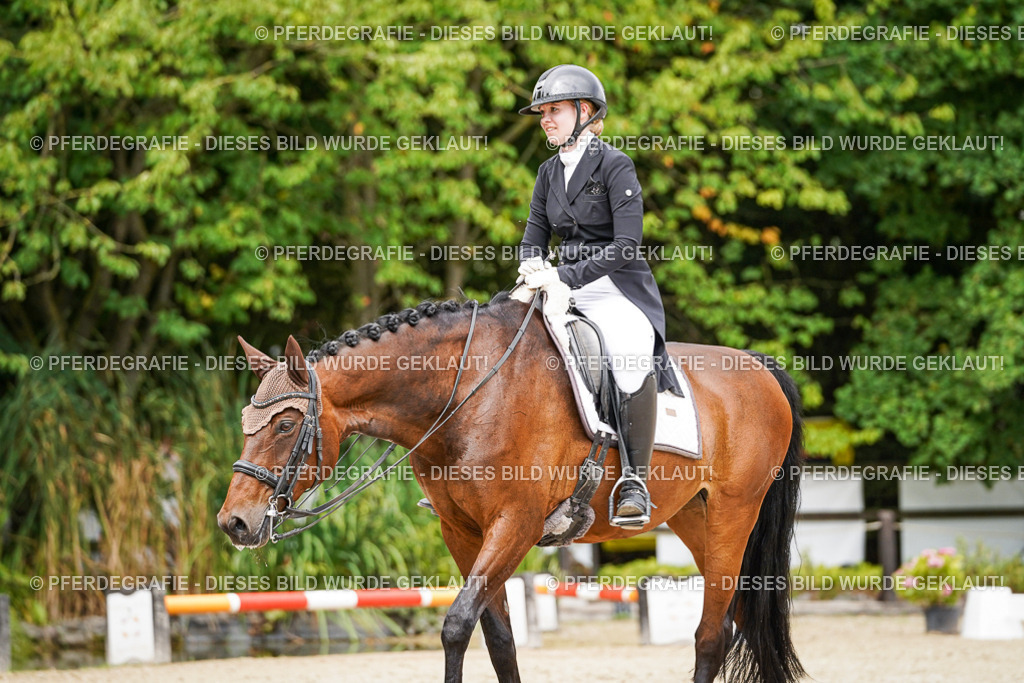 DSC05628 | Pferdegrafie