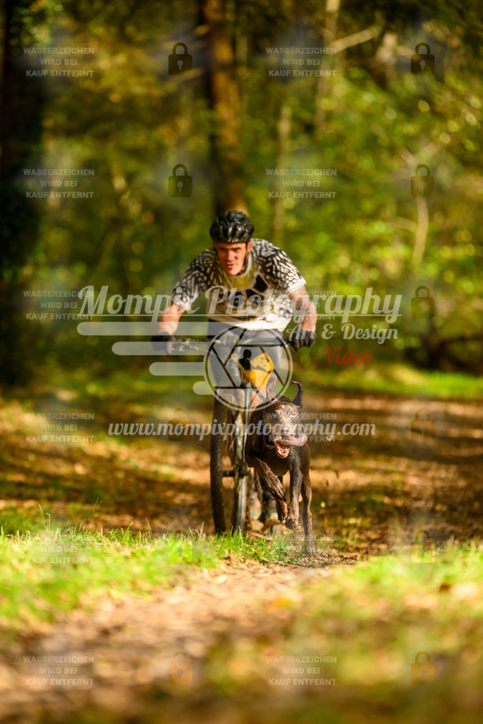 MompixPhotography_20TSB_E1_DS1-19 | PayLife