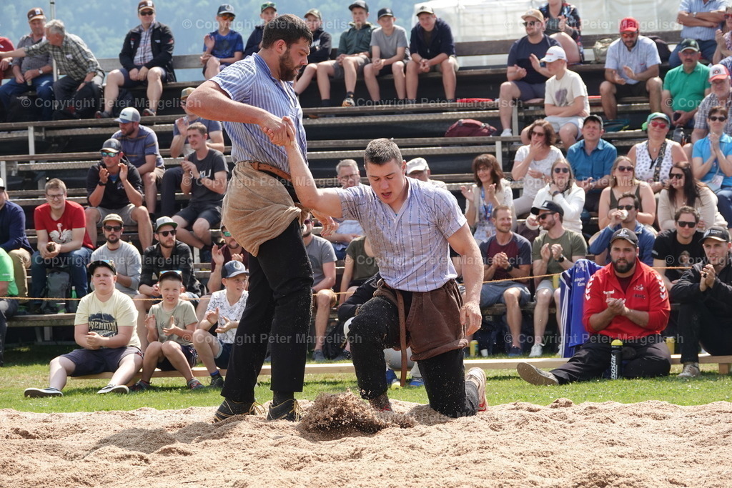 DSC04557 | Schwingen - Realisiert mit Pictrs.com