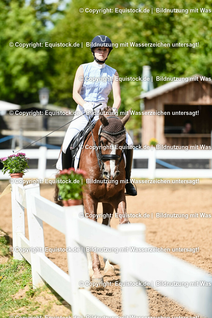 20230716_01_Dressurprüfung Kl.M_0255 | equistock
