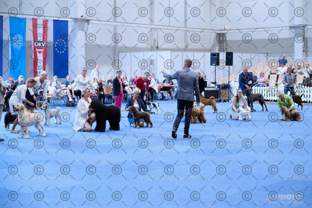 202406_ÖKV-IHA-Tulln24_NZ9_8767 | proPHOTO - Realisiert mit Pictrs.com