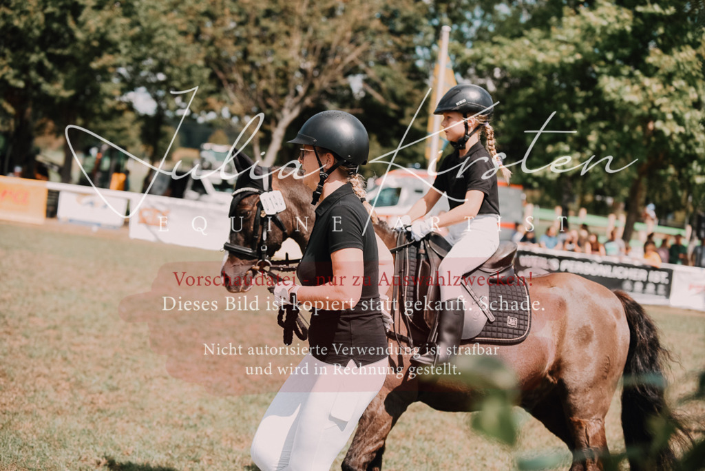 DSC_6128 | Pferde- und Turnierfotografie in Westsachsen. Pferdeportraits, Auftragszeichnungen und intuitive Kunst.