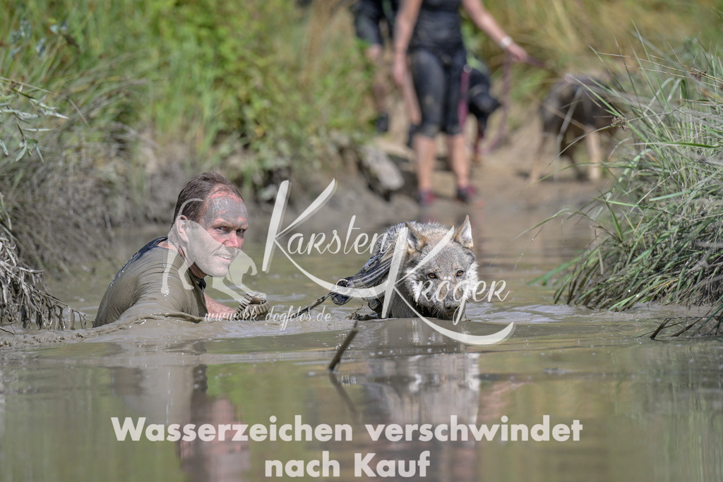 1615_ZZ94763 | kk-dogfotos