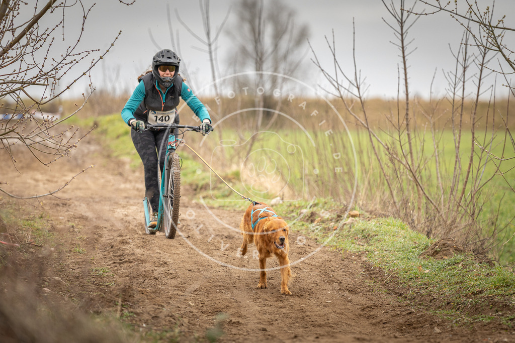 DV3A1442 | Hundefotografie, Tierfotograf, Pfotenfotografie, Fotoshooting Hund, Hunde Portrait, Hundesport, Hundeportraits, Heideshooting, Hunde, Sportfotograf, Hundefotograf, Turnierhundsport, THS,  - Realisiert mit Pictrs.com