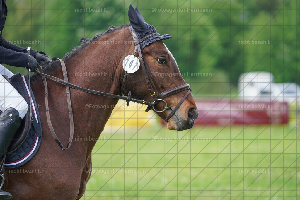 20240509-FAH02872 | Turnierbilder der Turnierfotografen Bayern, Pferdesport Fotografie, Reitsportbilder, Turnier Landberg am Lech, Turnierbilder bayern, Fotoagentur Herrmann