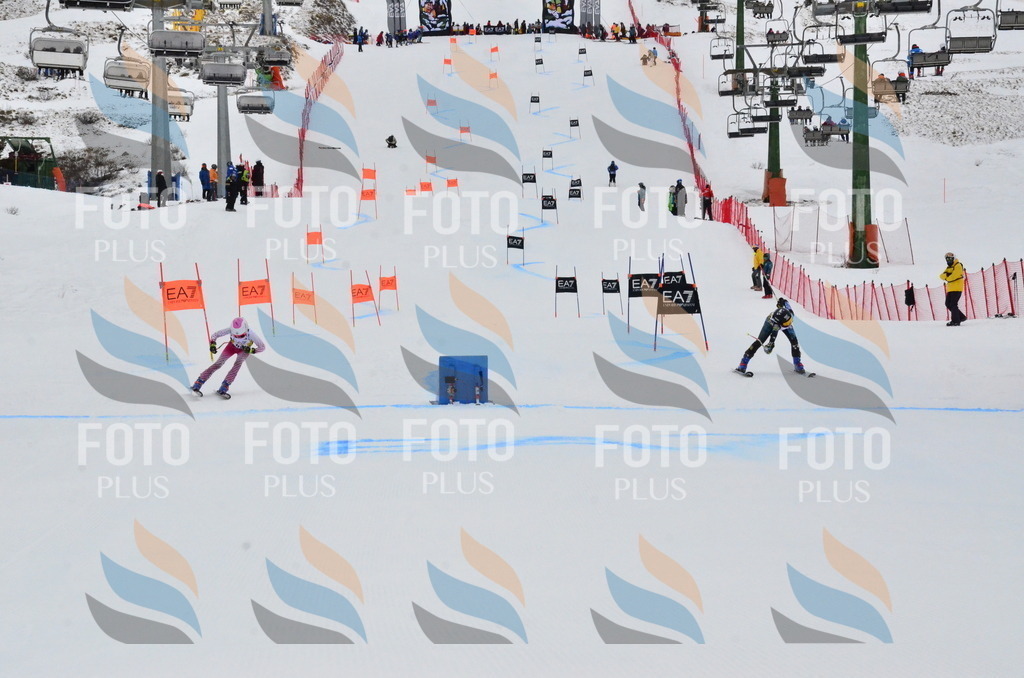 _ELE3638 | holidayphoto