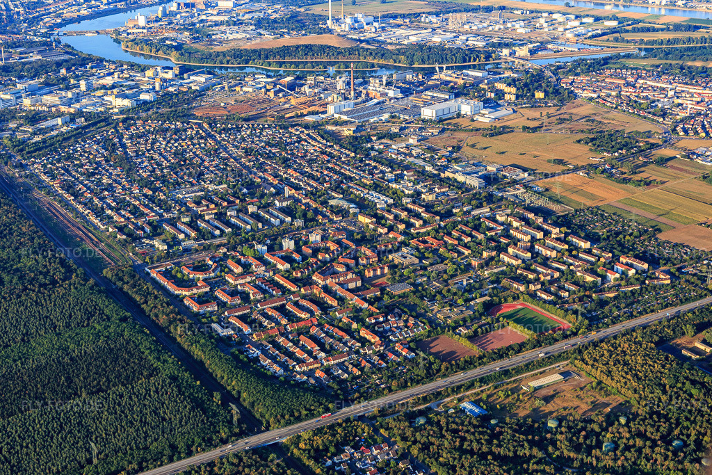 Luftbild: Stadtansicht von Norden im Ortsteil Schönau in Mannheim im Bundesland Baden-Württemberg in Deutschland. Foto: IMG_109477.jpg vom 31.07.2018 durch Werner Riehm/FLY-FOTO.de
