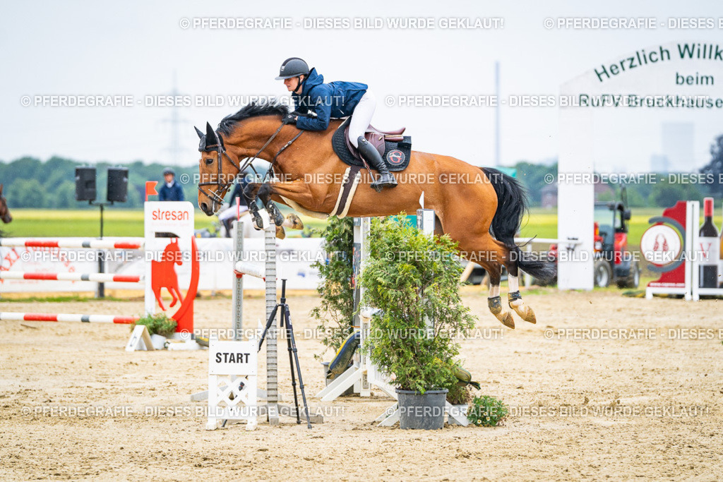 DSC09405 | Pferdegrafie