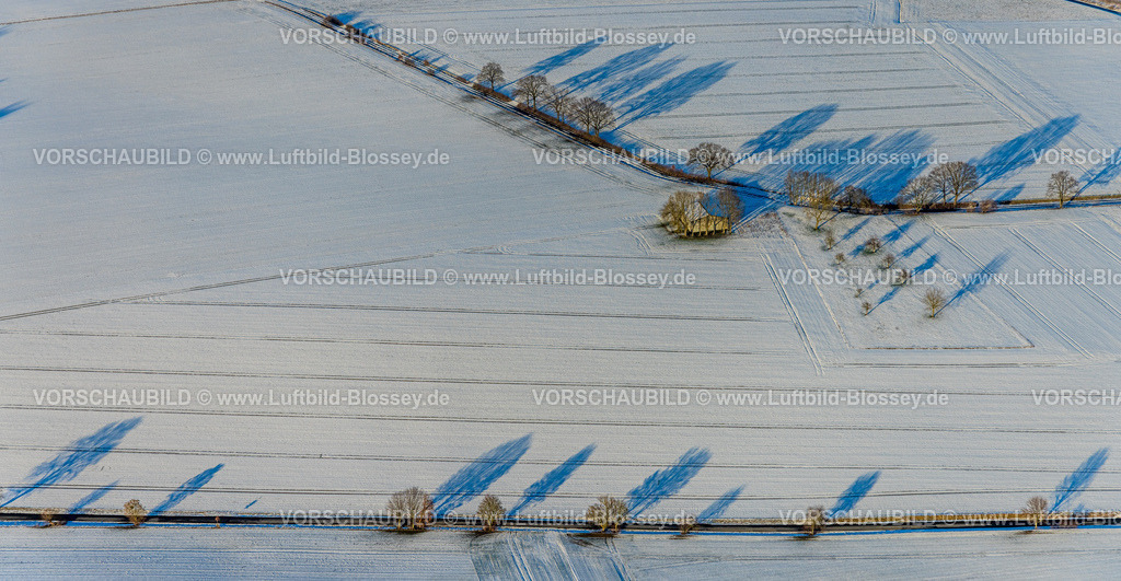 Moehnesee260105959 | Luftbild, Winterlandschaft und Baumallee mit Schattenwurf am Straßenrand, Haus auf der Wiese, Westdahlweg, Theiningsen, Möhnesee, Sauerland, Nordrhein-Westfalen, Deutschland