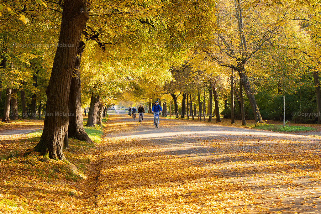 _DSC7253 | Leipzig Wandbilder Drucke Prints Leinwand Stadtmotive Leipzig Fotosdruck Kunstdrucke Bilder Leipzig Stadtansichten Acrylglasbilder Leipzig Wanddeko Fine Art Prints Wandbilder Büro Leipzig Bilder Praxis Zuhause Bilderdruck Poster Posterlounge Kunstdrucke - Realisiert mit Pictrs.com