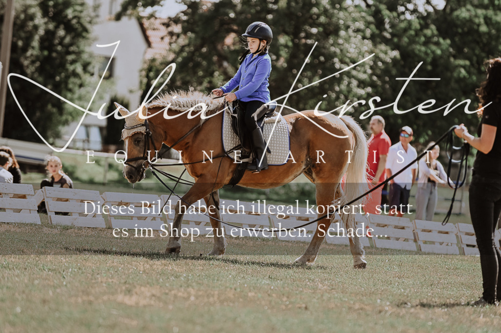 DSC_7538 | Pferde- und Turnierfotografie in Westsachsen. Pferdeportraits, Auftragszeichnungen und intuitive Kunst.