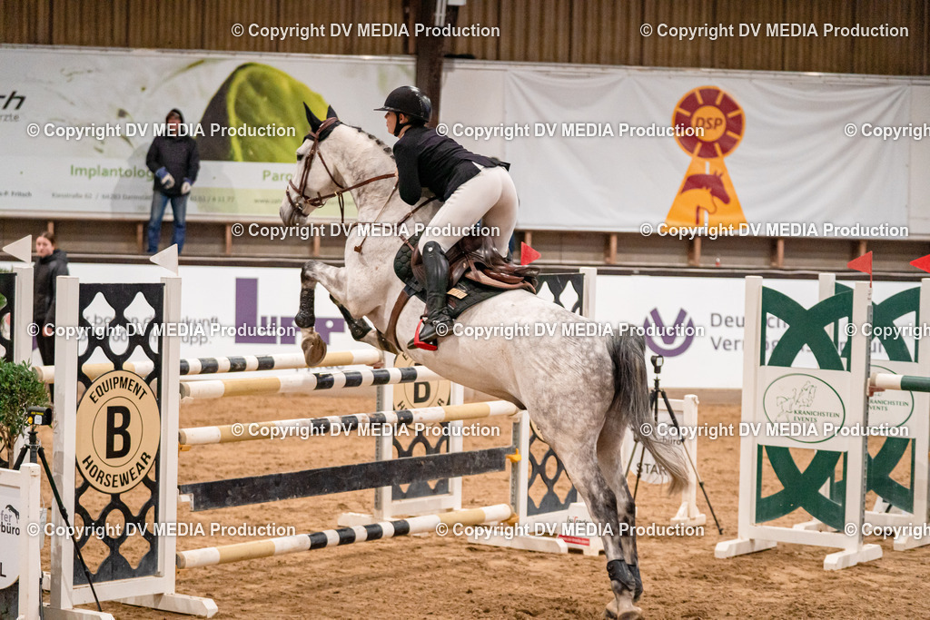 Kranichstein Tag 2-1300 | dv-media-shop - Realisiert mit Pictrs.com