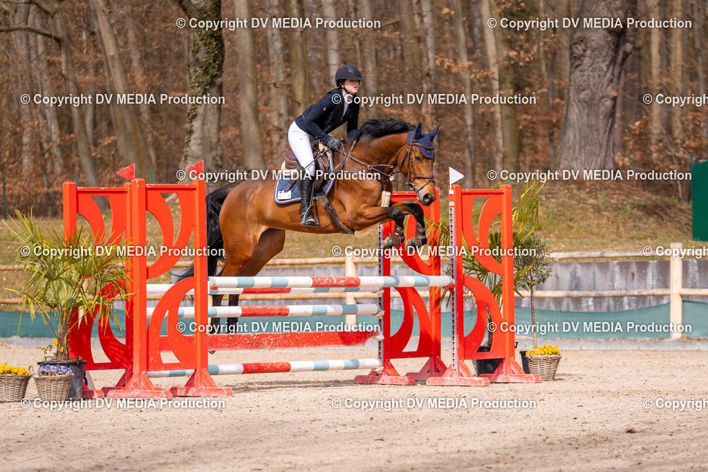 Kranichstein Tag 1-571 | dv-media-shop - Realisiert mit Pictrs.com