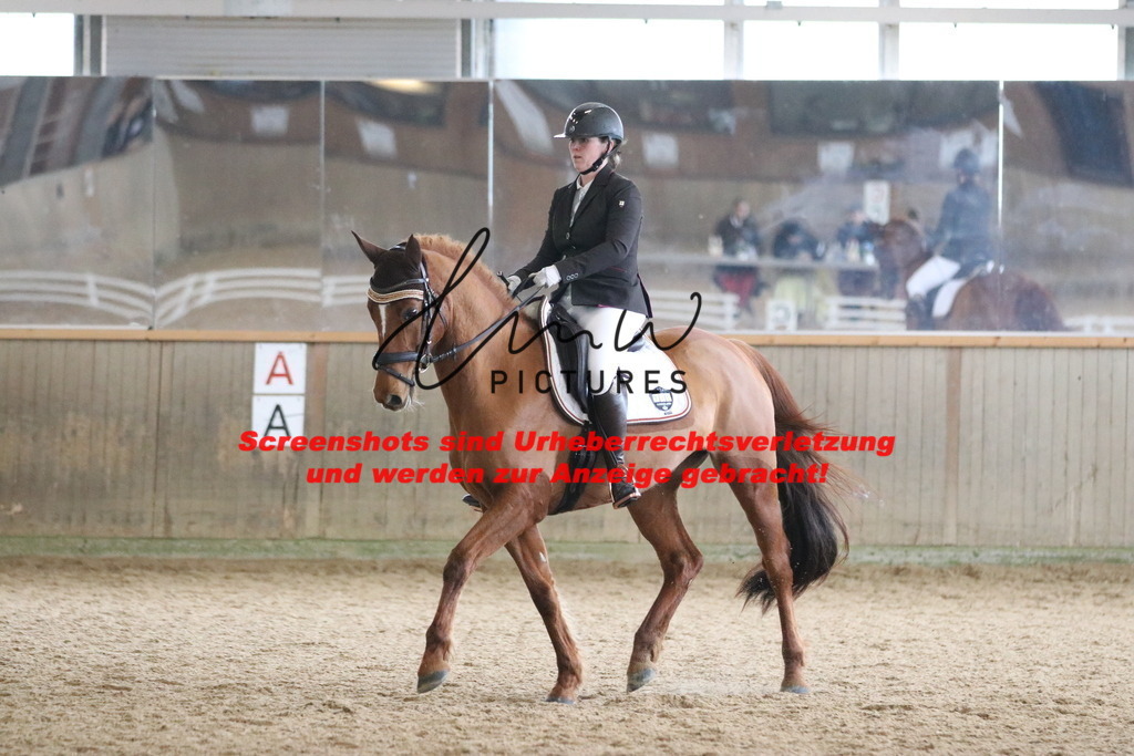 IMG_8203 | lmwpictures - Realisiert mit Pictrs.com