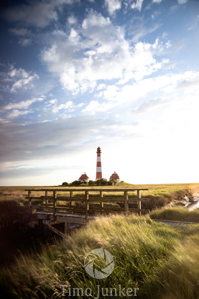 Shop_Landscapes-6938 | junker-foto - Realisiert mit Pictrs.com