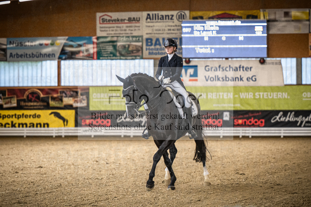 DOS_0508 | Entdecke hochwertige Reitturnierfotos von Foto Oger. Professionell, emotional und authentisch – jetzt Lieblingsmomente im Shop bestellen.Deutschlandweite Turnierfotografie. - Realisiert mit Pictrs.com