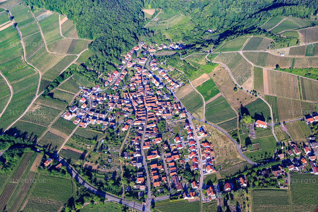 Luftbild: Ortsansicht von Osten im Ortsteil Gleishorbach in Gleiszellen-Gleishorbach im Bundesland Rheinland-Pfalz in Deutschland. Foto: IMG_079993.jpg vom 05.06.2015 durch Werner Riehm/FLY-FOTO.de