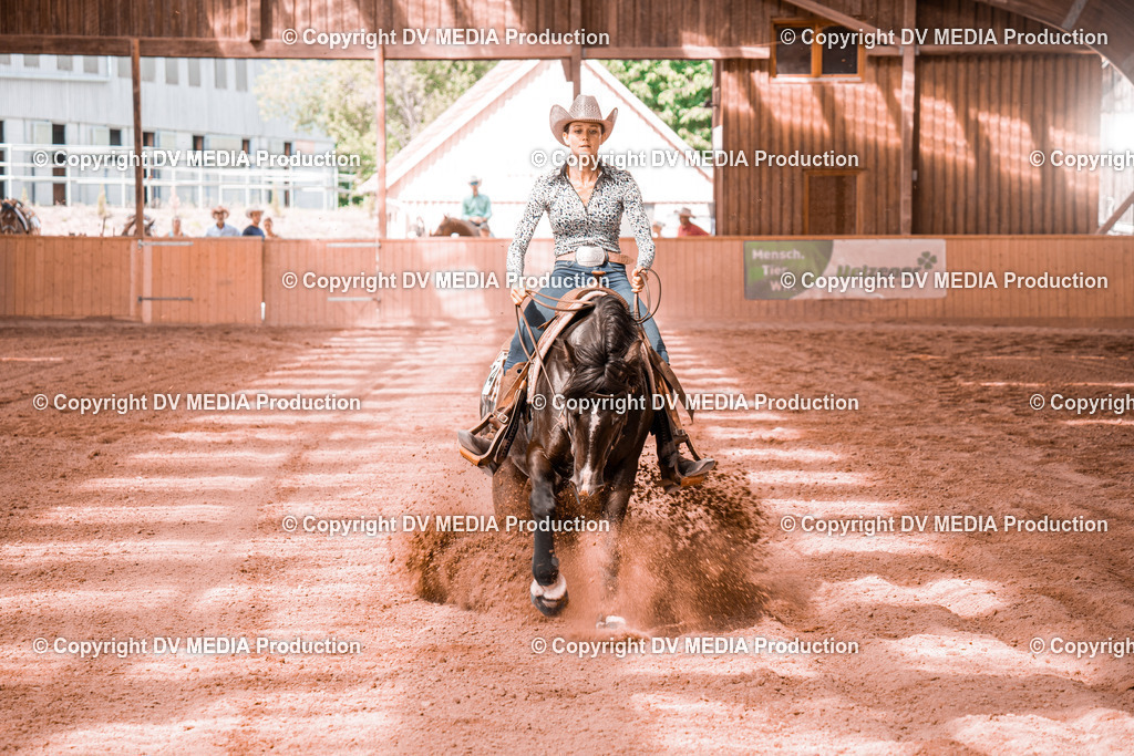 NE300745 | dv-media-shop - Realisiert mit Pictrs.com