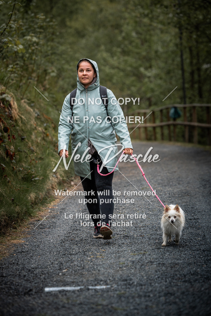 nelerasche_SaAbends_271 | nelerasche