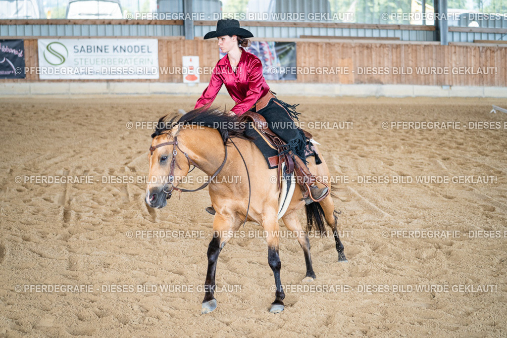 DSC03328 | Pferdegrafie