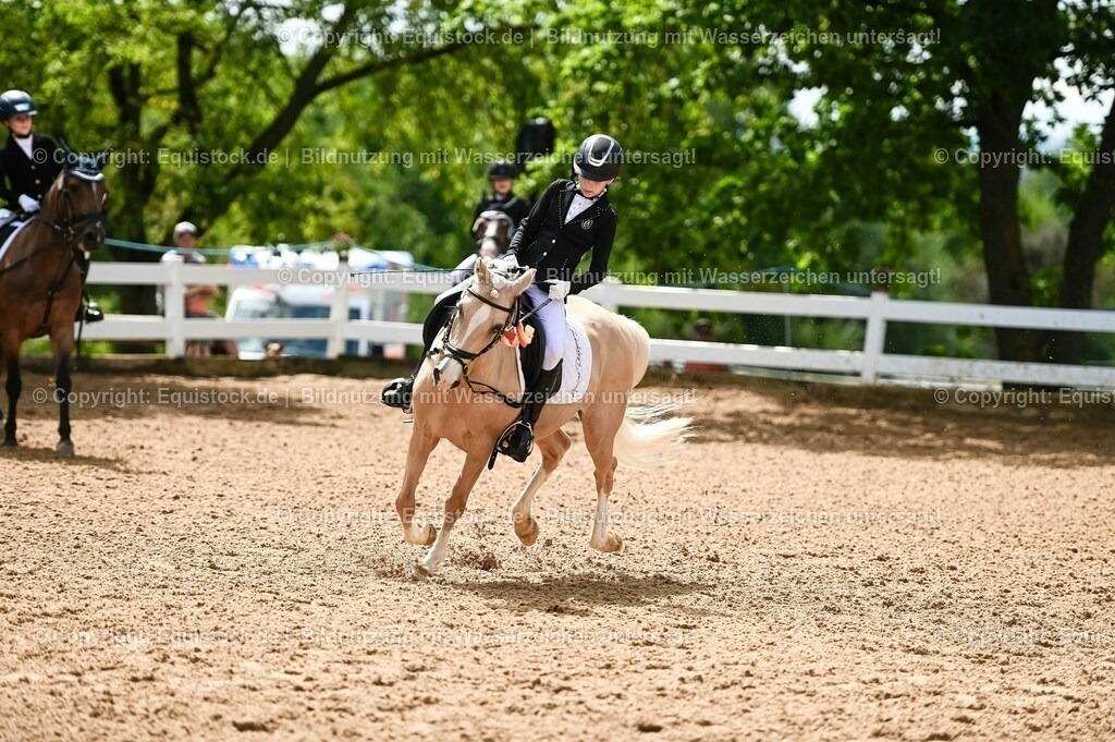 20230716_10-3_Reiter-WB Schritt - Trab - Galopp_0263 | equistock