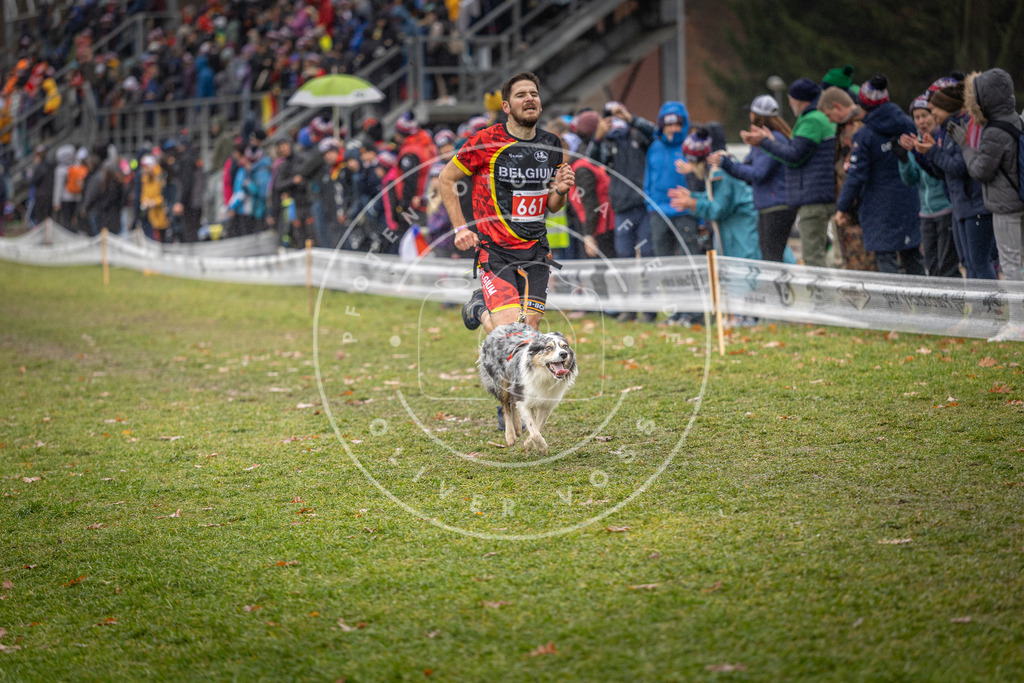 CaniXpix_DV3A9959 | Hundefotografie, Tierfotograf, Pfotenfotografie, Fotoshooting Hund, Hunde Portrait, Hundesport, Hundeportraits, Heideshooting, Hunde, Sportfotograf, Hundefotograf, Turnierhundsport, THS,  - Realisiert mit Pictrs.com