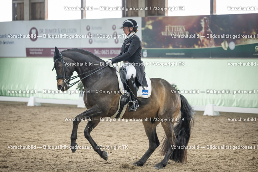 _D5A6102 | Emotionale Pferde- & People-Fotografie rund um Heidelberg, Leimen & Umgebung. Natürliche Fotos von Pferd, Mensch & Familie. Jetzt Termin sichern!