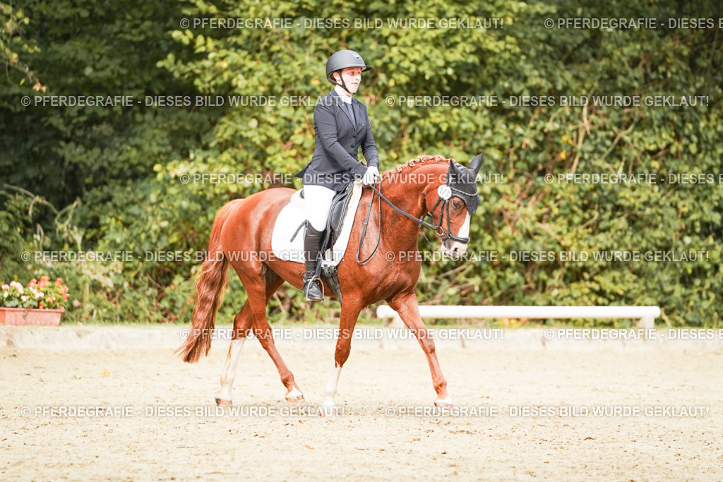 DSC03707 | Pferdegrafie