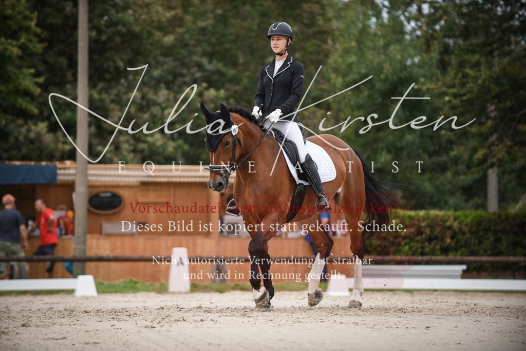 DSC_8256 | Pferde- und Turnierfotografie in Westsachsen. Pferdeportraits, Auftragszeichnungen und intuitive Kunst.