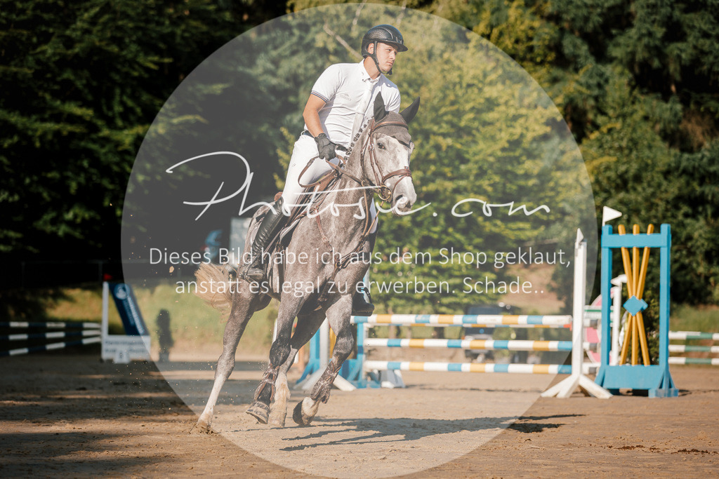 3I6A6289 | Stimmungsvolle Portraits und Reitsportfotografie im Ruhrgebiet und im Münsterland.

Pferdefotografie, Hundefotografie, Tierfotografie, Reportagen, Portraits von Tier und Mensch, Turnierfotografie in Bochum, Recklinghausen, Marl, Haltern am See, Dülmen.. - Realisiert mit Pictrs.com