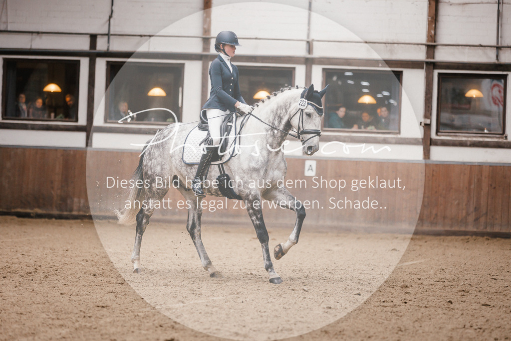 3I6A6830 | Stimmungsvolle Portraits und Reitsportfotografie im Ruhrgebiet und im Münsterland.

Pferdefotografie, Hundefotografie, Tierfotografie, Reportagen, Portraits von Tier und Mensch, Turnierfotografie in Bochum, Recklinghausen, Marl, Haltern am See, Dülmen.. - Realisiert mit Pictrs.com