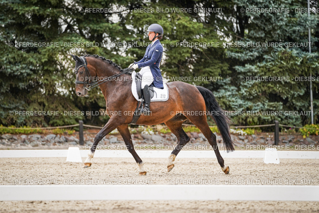 DSC07938 | Pferdegrafie