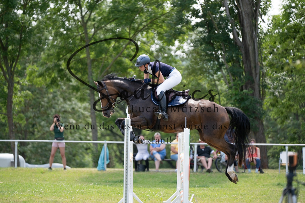 A7V07344 | Pferdefotograf