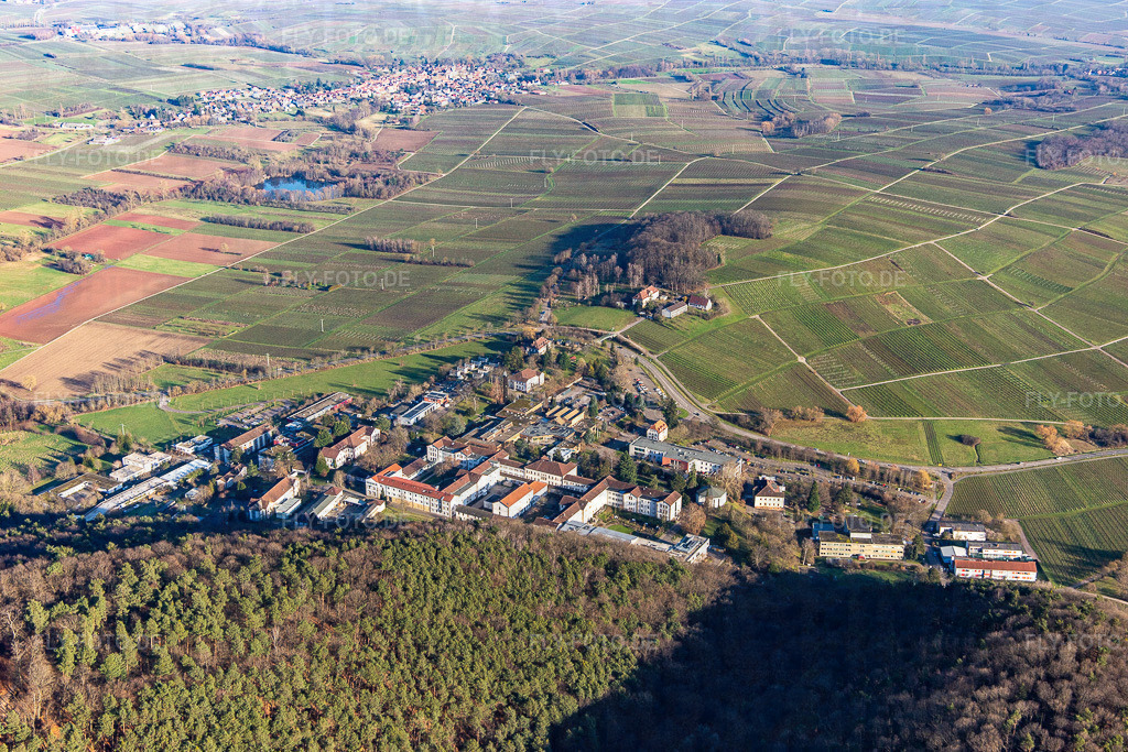 Pfalzklinikum von Westen | Luftbild: Pfalzklinikum von Westen in Klingenmünster im Bundesland Rheinland-Pfalz in Deutschland. Foto: IMG_145039.jpg vom 27.12.2024 durch ©2025 Werner Riehm fly-foto.de/copyright - Realisiert mit Pictrs.com