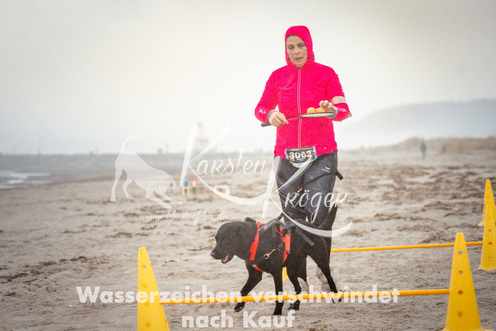 1109_ZZ96950 | kk-dogfotos