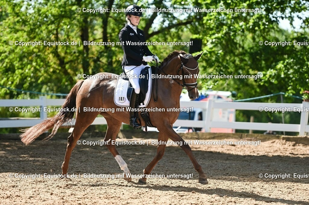 20230715_06_Dressurpferdeprfg. Kl.A_0426 | equistock