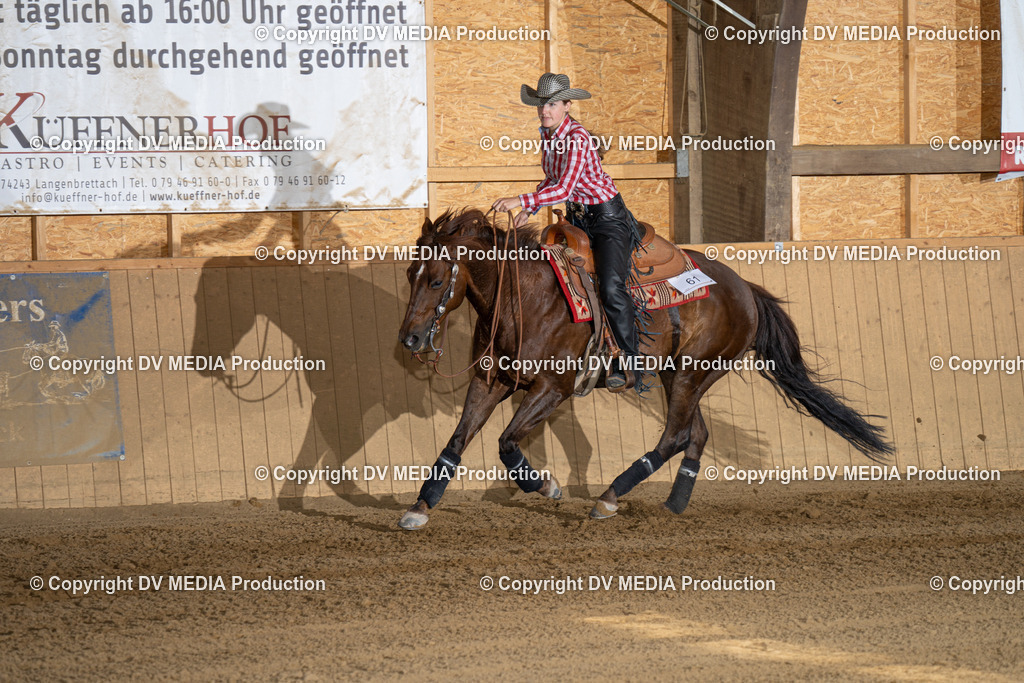 DSC00079 | dv-media-shop - Realisiert mit Pictrs.com